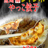 04【送料無料】やっこ"ジャンボ"餃子